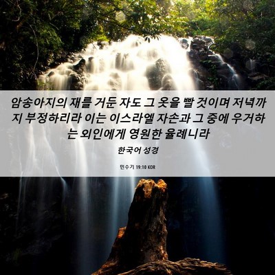 Picture 06 - 민수기 19:10 KOR - 암송아지의 재를 거둔 자도 그 옷을 - Bible Verse Picture