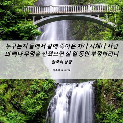 Picture 06 - 민수기 19:16 KOR - 누구든지 들에서 칼에 죽이운 자나 - Bible Verse Picture