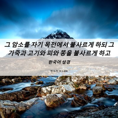 Picture 06 - 민수기 19:5 KOR - 그 암소를 자기 목전에서 불사르게 - Bible Verse Picture