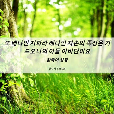 Picture 06 - 민수기 2:22 KOR - 또 베냐민 지파라 베냐민 자손의 - Bible Verse Picture