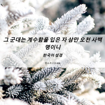 Picture 06 - 민수기 2:23 KOR - 그 군대는 계수함을 입은 자 삼만 - Bible Verse Picture