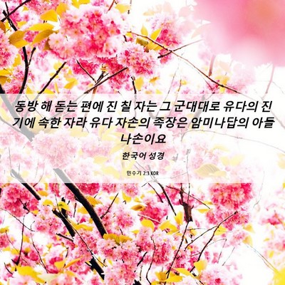 Picture 06 - 민수기 2:3 KOR - 동방 해 돋는 편에 진 칠 자는 그 - Bible Verse Picture