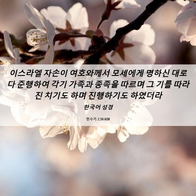 Picture 06 - 민수기 2:34 KOR - 이스라엘 자손이 여호와께서 - Bible Verse Picture