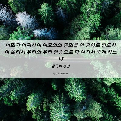 Picture 06 - 민수기 20:4 KOR - 너희가 어찌하여 여호와의 총회를 이 - Bible Verse Picture