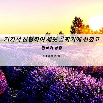 Picture 06 - 민수기 21:12 KOR - 거기서 진행하여 세렛 골짜기에 - Bible Verse Picture