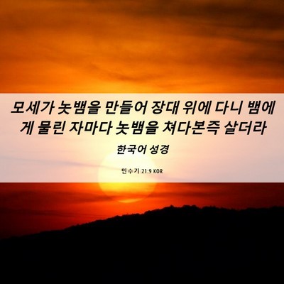 Picture 06 - 민수기 21:9 KOR - 모세가 놋뱀을 만들어 장대 위에 - Bible Verse Picture