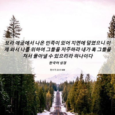 Picture 06 - 민수기 22:11 KOR - 보라 애굽에서 나온 민족이 있어 - Bible Verse Picture