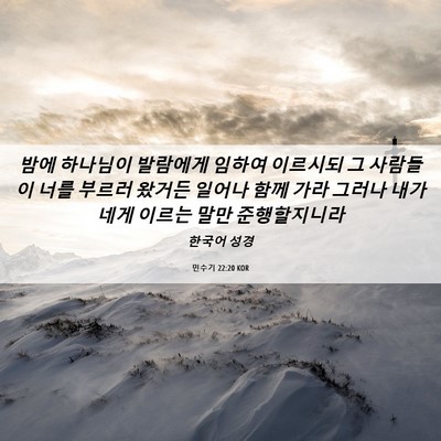 Picture 06 - 민수기 22:20 KOR - 밤에 하나님이 발람에게 임하여 - Bible Verse Picture