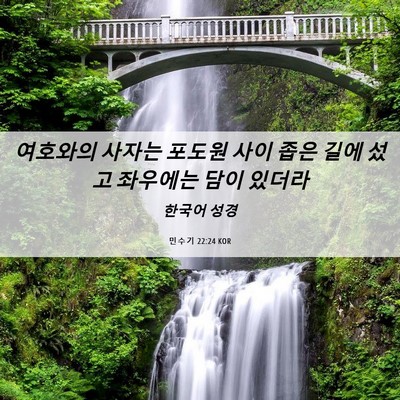 Picture 06 - 민수기 22:24 KOR - 여호와의 사자는 포도원 사이 좁은 - Bible Verse Picture