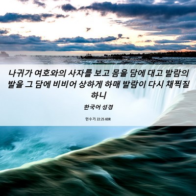 Picture 06 - 민수기 22:25 KOR - 나귀가 여호와의 사자를 보고 몸을 - Bible Verse Picture
