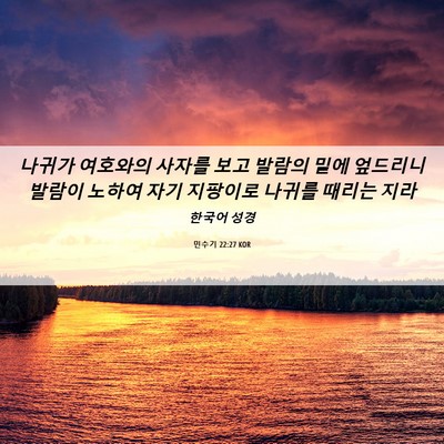 Picture 06 - 민수기 22:27 KOR - 나귀가 여호와의 사자를 보고 발람의 - Bible Verse Picture
