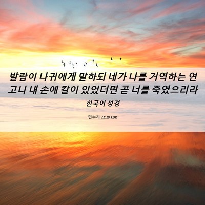 Picture 06 - 민수기 22:29 KOR - 발람이 나귀에게 말하되 네가 나를 - Bible Verse Picture