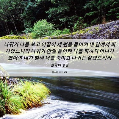 Picture 06 - 민수기 22:33 KOR - 나귀가 나를 보고 이같이 세 번을 - Bible Verse Picture