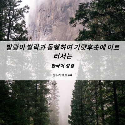 Picture 06 - 민수기 22:39 KOR - 발람이 발락과 동행하여 기럇후솟에 - Bible Verse Picture