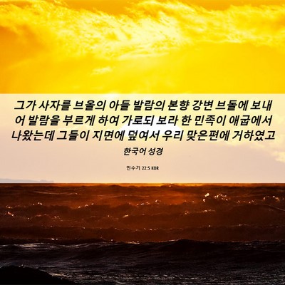 Picture 06 - 민수기 22:5 KOR - 그가 사자를 브올의 아들 발람의 - Bible Verse Picture