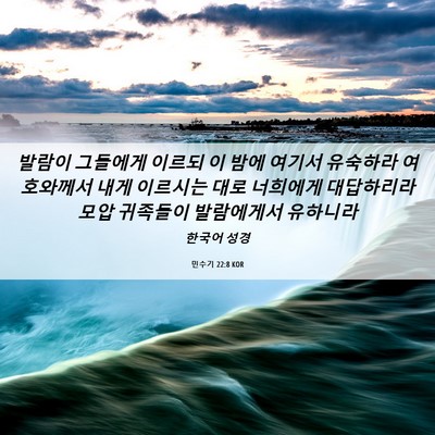 Picture 06 - 민수기 22:8 KOR - 발람이 그들에게 이르되 이 밤에 - Bible Verse Picture