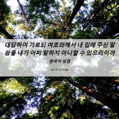 Picture 06 - 민수기 23:12 KOR - 대답하여 가로되 여호와께서 내 입에 - Bible Verse Picture