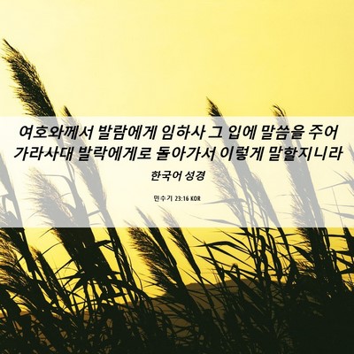 Picture 06 - 민수기 23:16 KOR - 여호와께서 발람에게 임하사 그 입에 - Bible Verse Picture