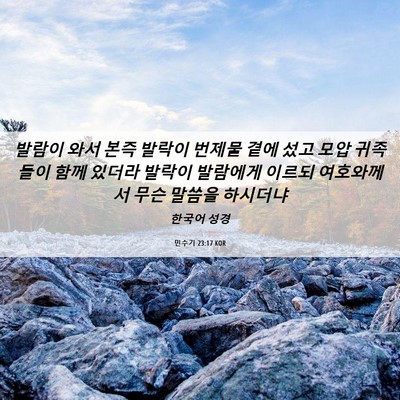 Picture 06 - 민수기 23:17 KOR - 발람이 와서 본즉 발락이 번제물 - Bible Verse Picture