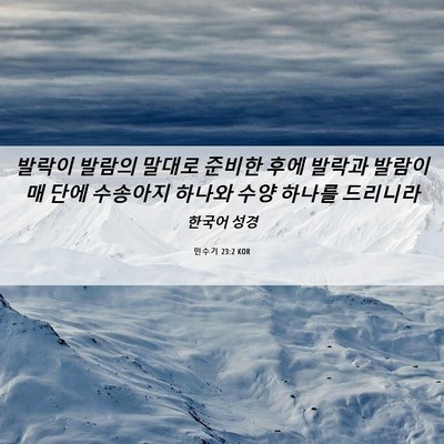 Picture 06 - 민수기 23:2 KOR - 발락이 발람의 말대로 준비한 후에 - Bible Verse Picture