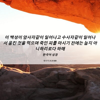 Picture 06 - 민수기 23:24 KOR - 이 백성이 암사자같이 일어나고 - Bible Verse Picture