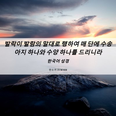 Picture 06 - 민수기 23:30 KOR - 발락이 발람의 말대로 행하여 매 - Bible Verse Picture