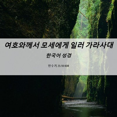 Picture 06 - 민수기 25:10 KOR - 여호와께서 모세에게 일러 - Bible Verse Picture