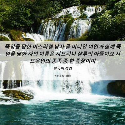 Picture 06 - 민수기 25:14 KOR - 죽임을 당한 이스라엘 남자 곧 - Bible Verse Picture