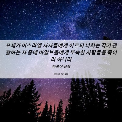 Picture 06 - 민수기 25:5 KOR - 모세가 이스라엘 사사들에게 이르되 - Bible Verse Picture