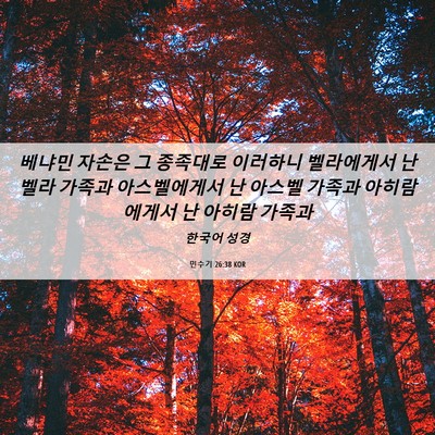 Picture 06 - 민수기 26:38 KOR - 베냐민 자손은 그 종족대로 이러하니 - Bible Verse Picture