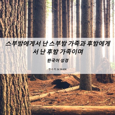 Picture 06 - 민수기 26:39 KOR - 스부밤에게서 난 스부밤 가족과 - Bible Verse Picture