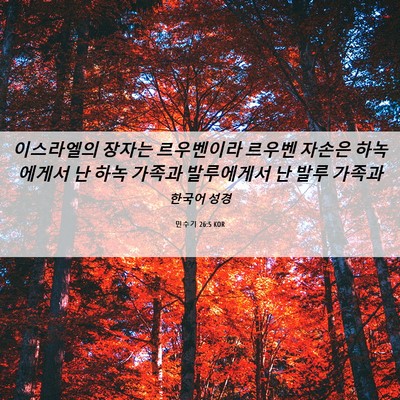 Picture 06 - 민수기 26:5 KOR - 이스라엘의 장자는 르우벤이라 - Bible Verse Picture