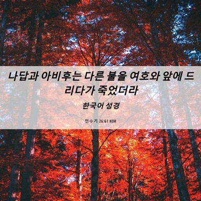 Picture 06 - 민수기 26:61 KOR - 나답과 아비후는 다른 불을 여호와 - Bible Verse Picture