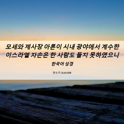 Picture 06 - 민수기 26:64 KOR - 모세와 제사장 아론이 시내 광야에서 - Bible Verse Picture