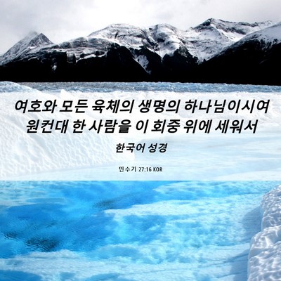 Picture 06 - 민수기 27:16 KOR - 여호와 모든 육체의 생명의 - Bible Verse Picture