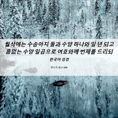 Picture 06 - 민수기 28:11 KOR - 월삭에는 수송아지 둘과 수양 하나와 - Bible Verse Picture