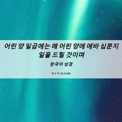 Picture 06 - 민수기 28:29 KOR - 어린 양 일곱에는 매 어린 양에 에바 - Bible Verse Picture