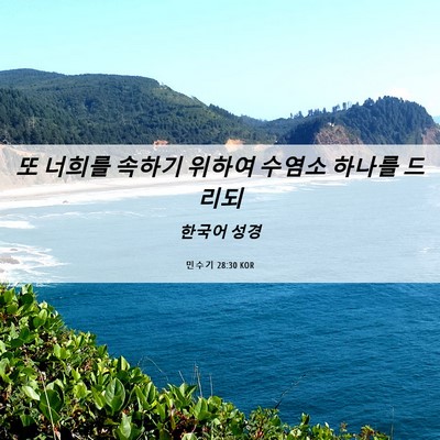 Picture 06 - 민수기 28:30 KOR - 또 너희를 속하기 위하여 수염소 - Bible Verse Picture