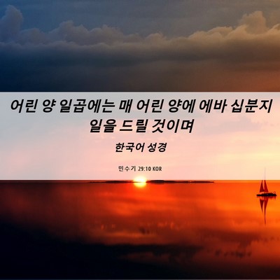Picture 06 - 민수기 29:10 KOR - 어린 양 일곱에는 매 어린 양에 에바 - Bible Verse Picture