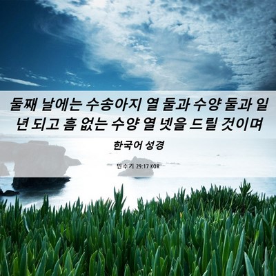 Picture 06 - 민수기 29:17 KOR - 둘째 날에는 수송아지 열 둘과 수양 - Bible Verse Picture