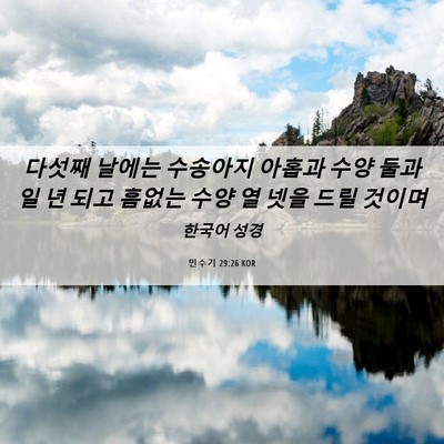 Picture 06 - 민수기 29:26 KOR - 다섯째 날에는 수송아지 아홉과 수양 - Bible Verse Picture