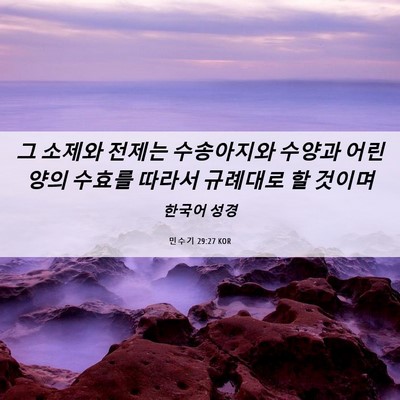 Picture 06 - 민수기 29:27 KOR - 그 소제와 전제는 수송아지와 수양과 - Bible Verse Picture