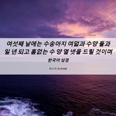Picture 06 - 민수기 29:29 KOR - 여섯째 날에는 수송아지 여덟과 수양 - Bible Verse Picture