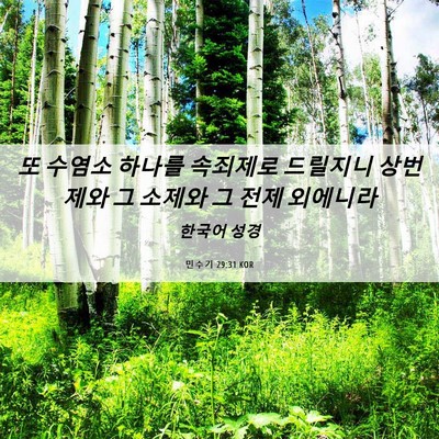 Picture 06 - 민수기 29:31 KOR - 또 수염소 하나를 속죄제로 드릴지니 - Bible Verse Picture
