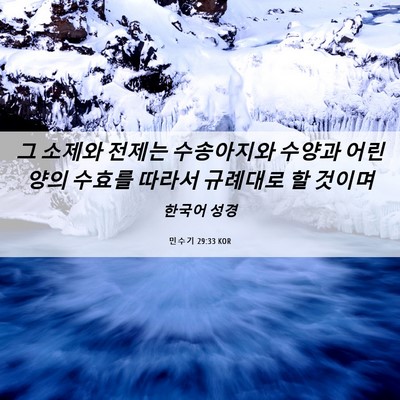 Picture 06 - 민수기 29:33 KOR - 그 소제와 전제는 수송아지와 수양과 - Bible Verse Picture
