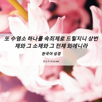 Picture 06 - 민수기 29:34 KOR - 또 수염소 하나를 속죄제로 드릴지니 - Bible Verse Picture