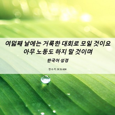 Picture 06 - 민수기 29:35 KOR - 여덟째 날에는 거룩한 대회로 모일 - Bible Verse Picture