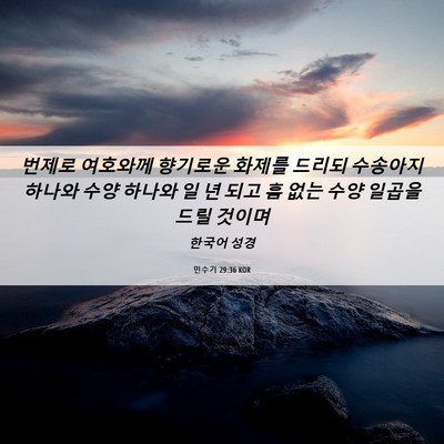 Picture 06 - 민수기 29:36 KOR - 번제로 여호와께 향기로운 화제를 - Bible Verse Picture