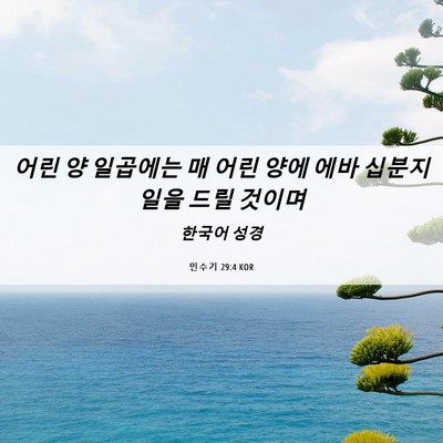 Picture 06 - 민수기 29:4 KOR - 어린 양 일곱에는 매 어린 양에 에바 - Bible Verse Picture