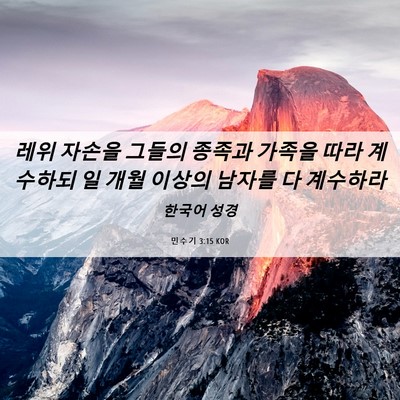 Picture 06 - 민수기 3:15 KOR - 레위 자손을 그들의 종족과 가족을 - Bible Verse Picture